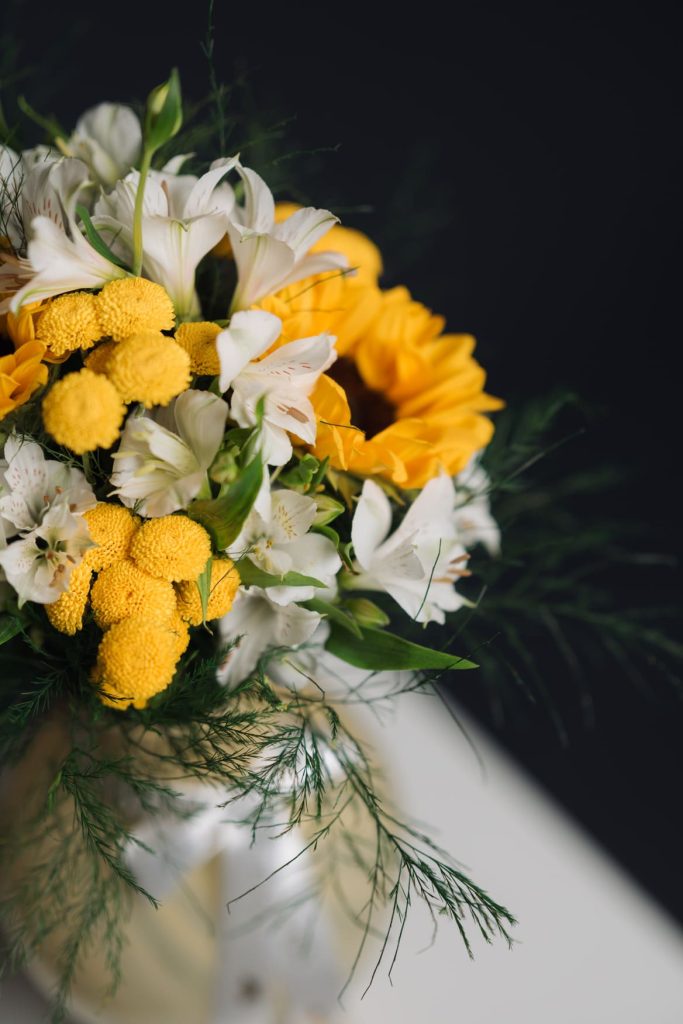 buque-girassois-la-belle-cascavel